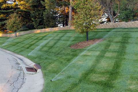 Sprinklers watering a well-maintained lawn with visible mowing lines next to a sidewalk and stone retaining wall, showcasing the work of top landscaping companies and expert retaining wall contractors, with trees in the background.