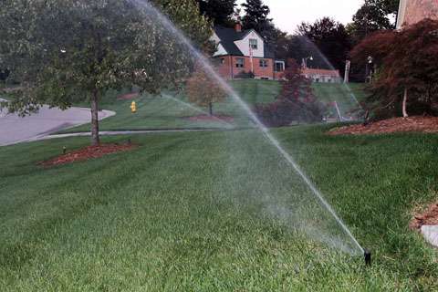 A sprinkler sprays water over a green lawn in a suburban neighborhood, with houses, trees, and a fire hydrant visible—an inviting scene often enhanced by landscaping companies or sprinkler system installation experts.