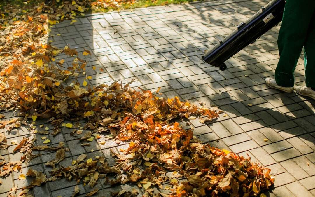 The Importance of Fall Cleanup for Landscaping