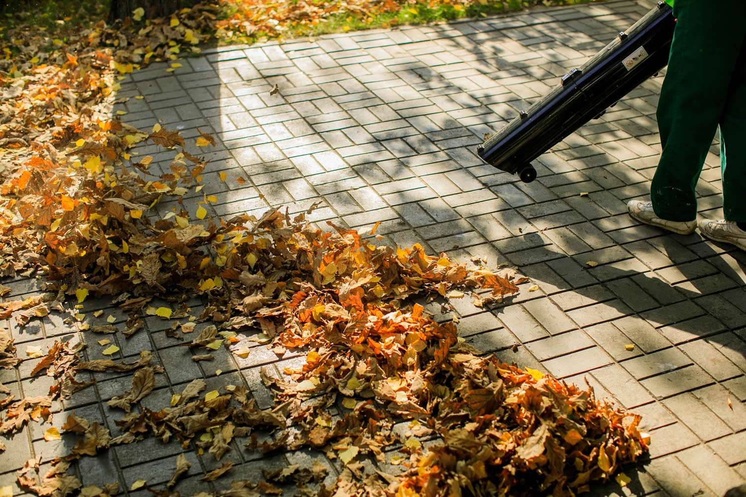 The Importance of Fall Cleanup for Landscaping: Insights from SmithScapes